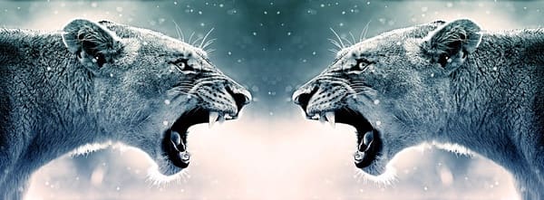 Рисунок 3.2.1 2-ка Мечей – взаимодействие воли, действия, мысли. – Йааааааа глааааааавнайааааа! –